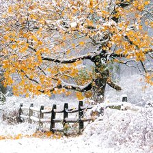 Схема вышивки «Paisagem de  inverno.»