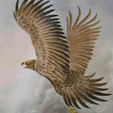 Схема вышивки «Ястреб китайская живопись»