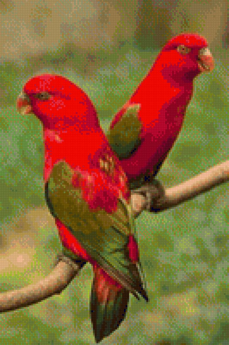 Loros - mariposas - предпросмотр