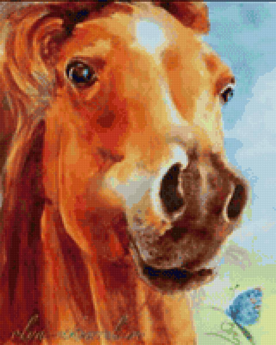 Лошадь - миф, лошади - предпросмотр