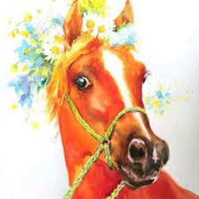 Схема вышивки «Красавица»