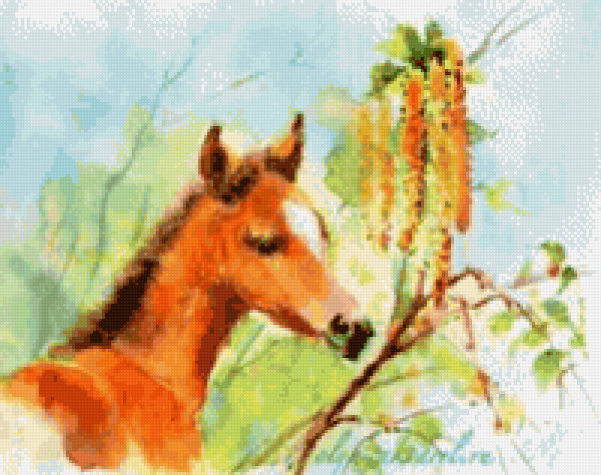 Жеребенок - лошади, миф - предпросмотр