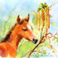 Схема вышивки «Жеребенок»