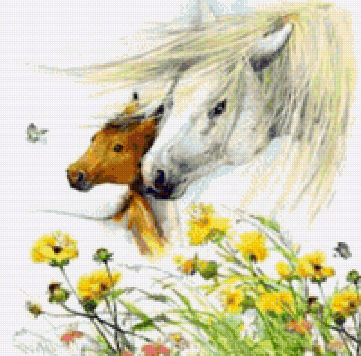 В поле - миф, лошади - предпросмотр