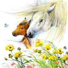 Схема вышивки «В поле»