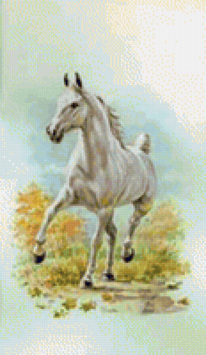 Скакун - миф, лошади - предпросмотр