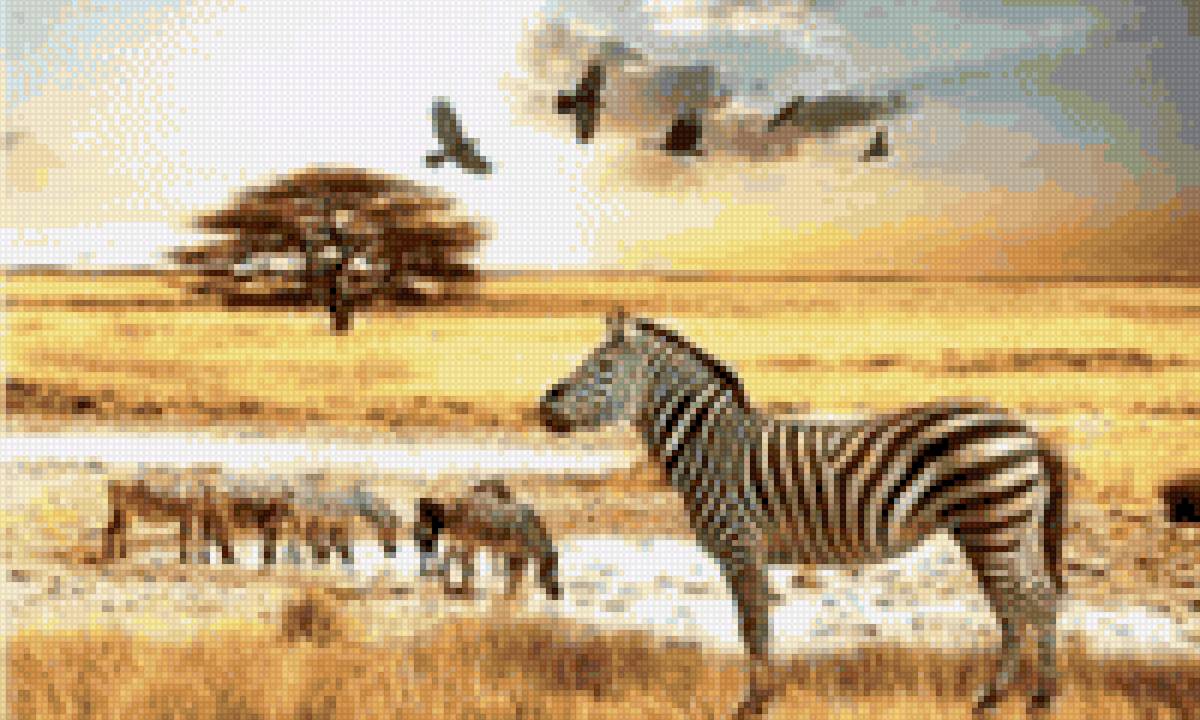 Африка - лошади, миф - предпросмотр