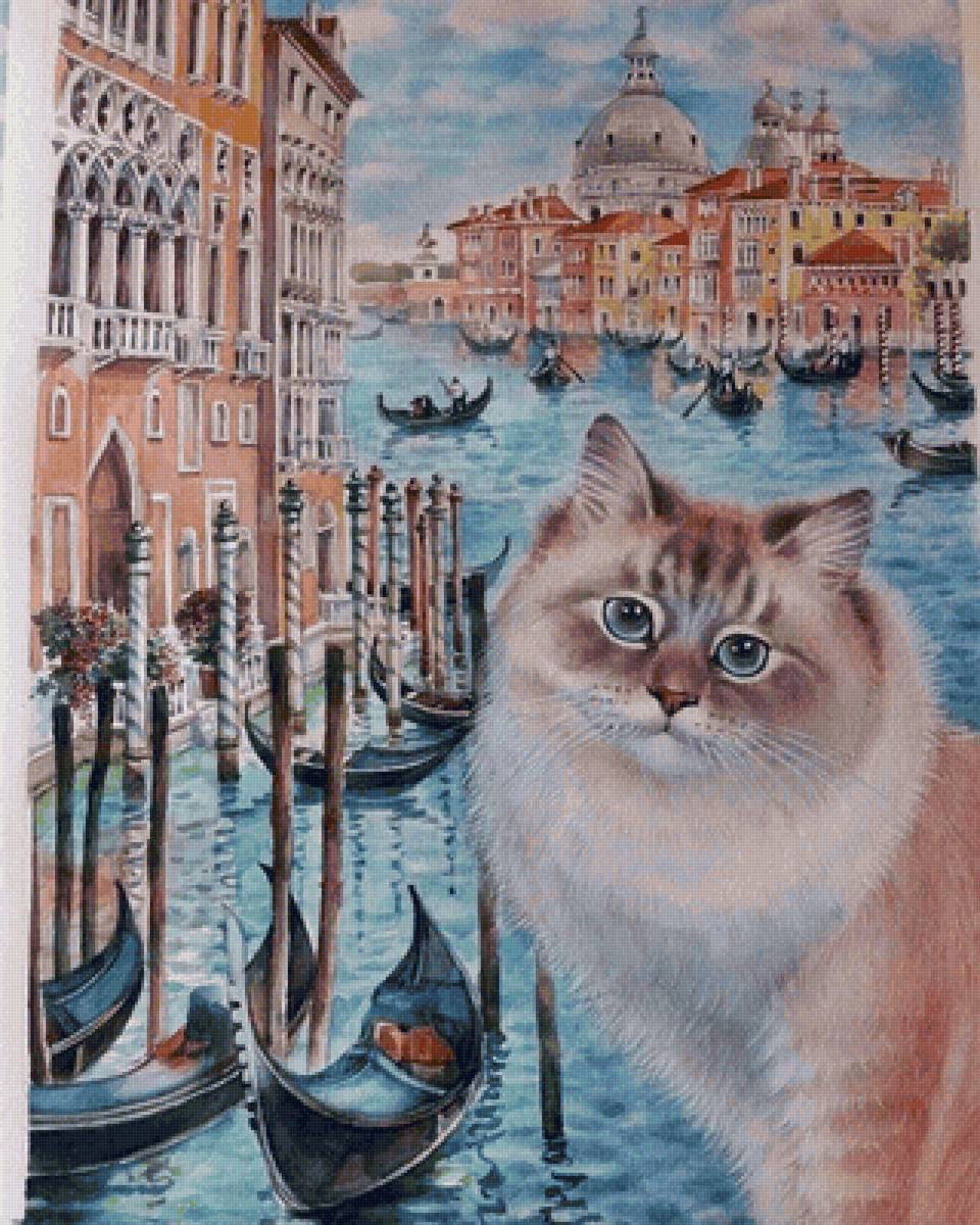 Gato. - animais .porto. - предпросмотр