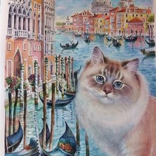 Схема вышивки «Gato.»