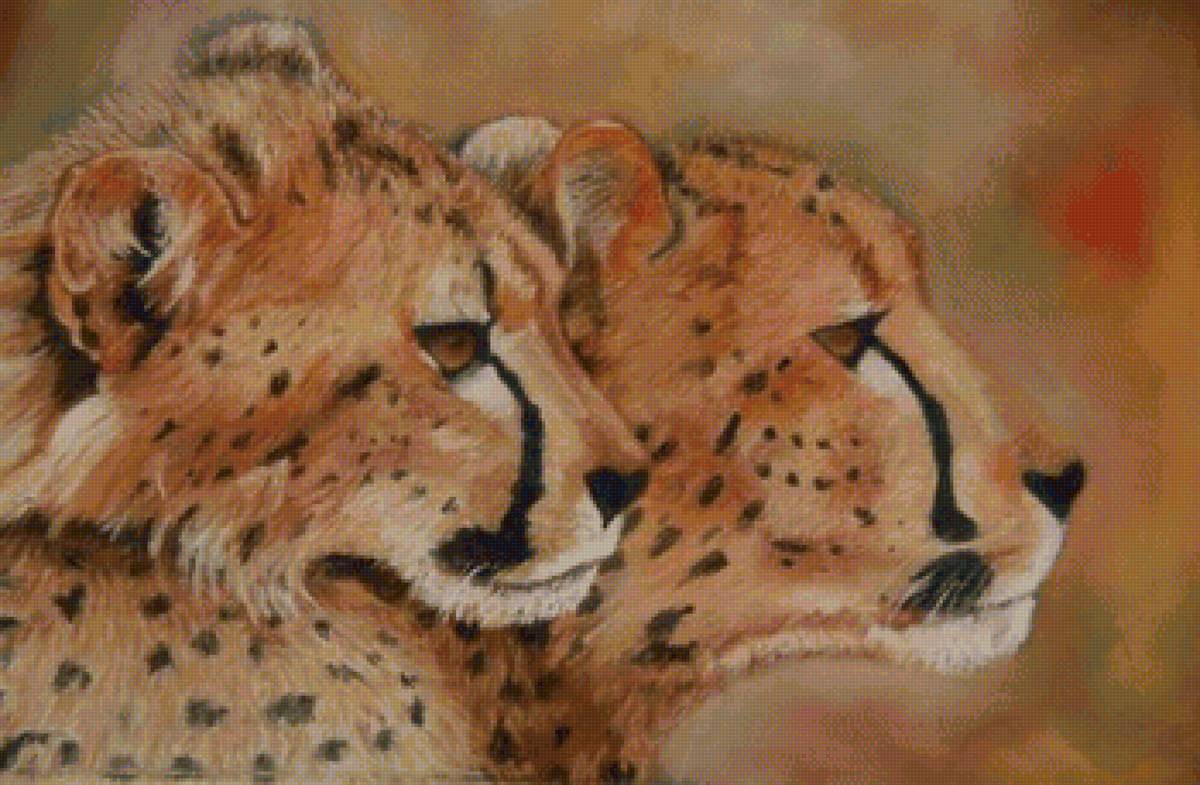 Семейство гепардов - семья, гепарды, дикие кошки - предпросмотр