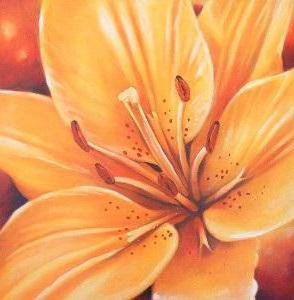 Лилия оранжевая - лилия, подушка, цветы - оригинал