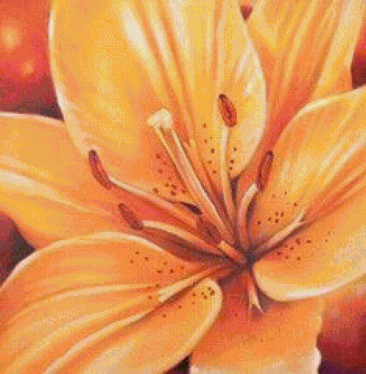 Лилия оранжевая - подушка, цветы, лилия - предпросмотр