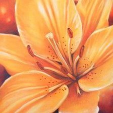 Схема вышивки «Лилия оранжевая»