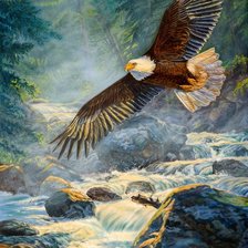 Схема вышивки «Порящий орёл»