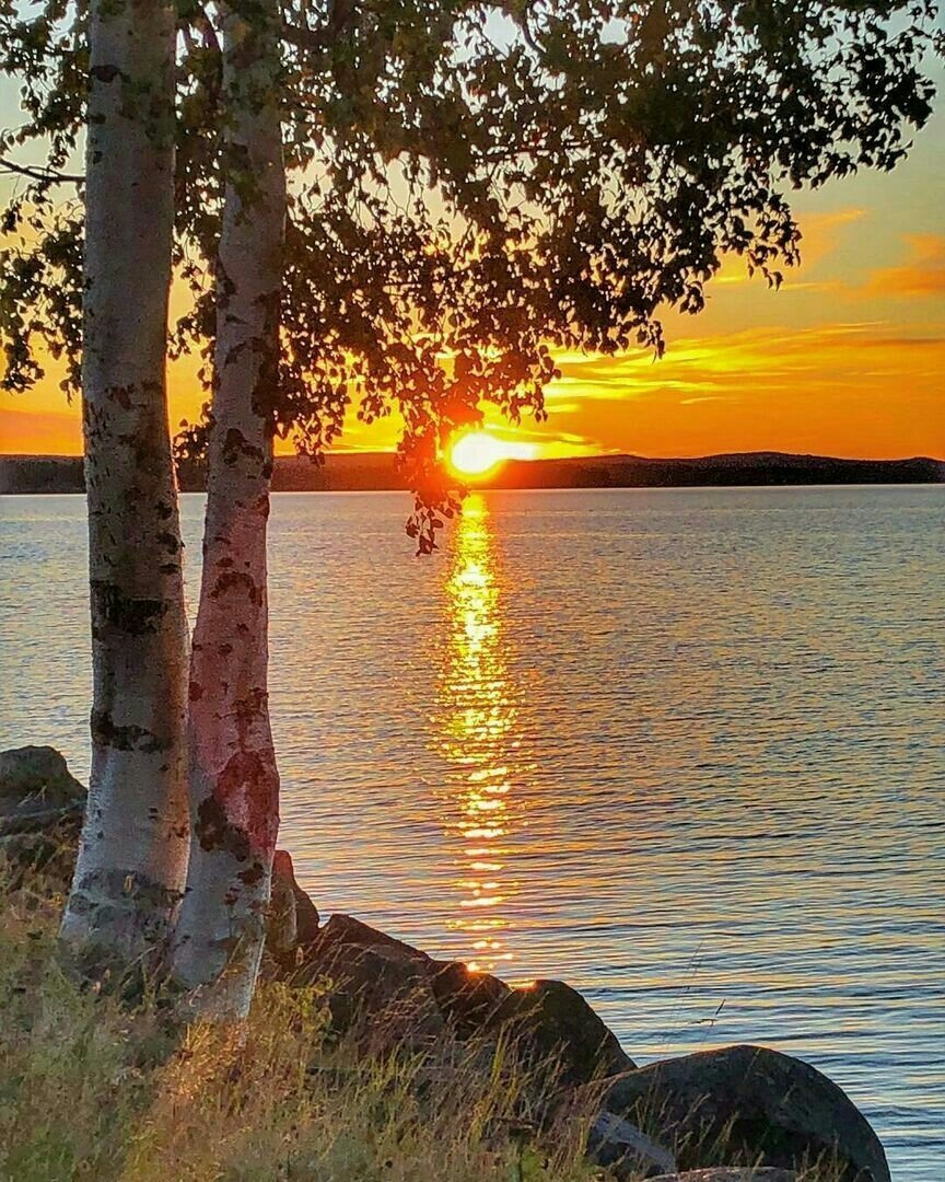 №2391157 - оригинал