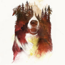 Схема вышивки «№2391214»