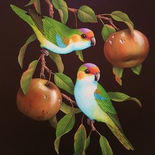 Схема вышивки «Pássaros .»