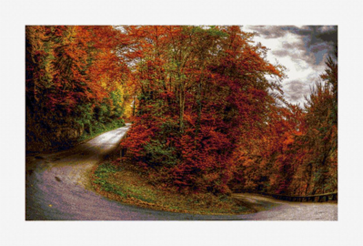 Осенний Лес - лес, дорога, осень - предпросмотр