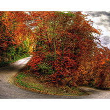 Схема вышивки «Осенний Лес»