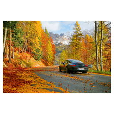 Схема вышивки «Осенняя Дорога»