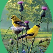 Художник james hautman