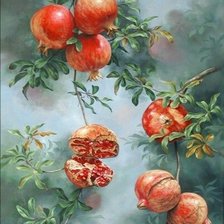 Схема вышивки «Гранаты»