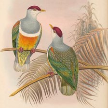 Схема вышивки «Pássaros .»