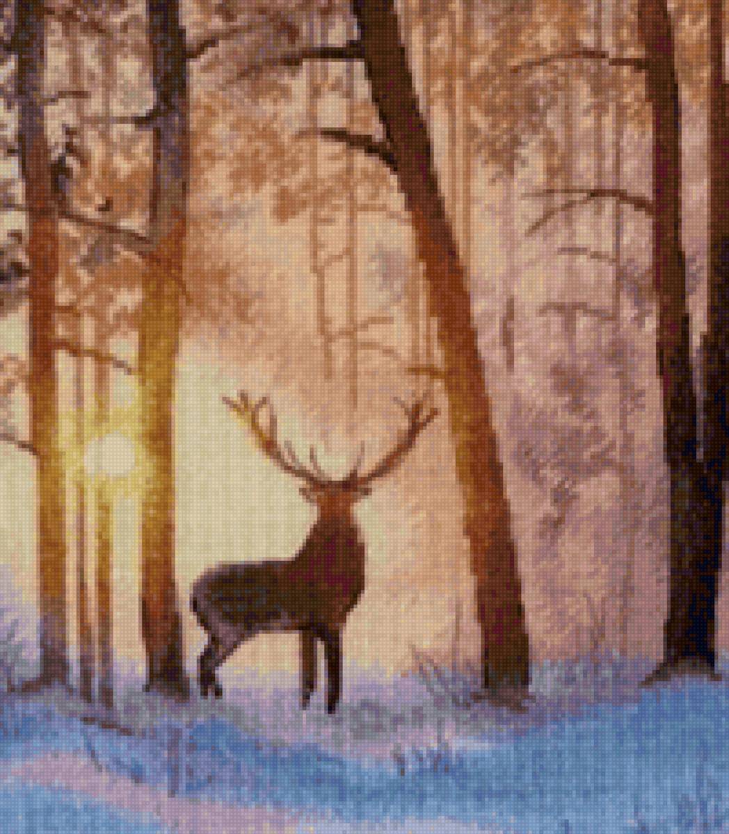 Рассвет - предпросмотр