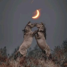 Схема вышивки «При луне»