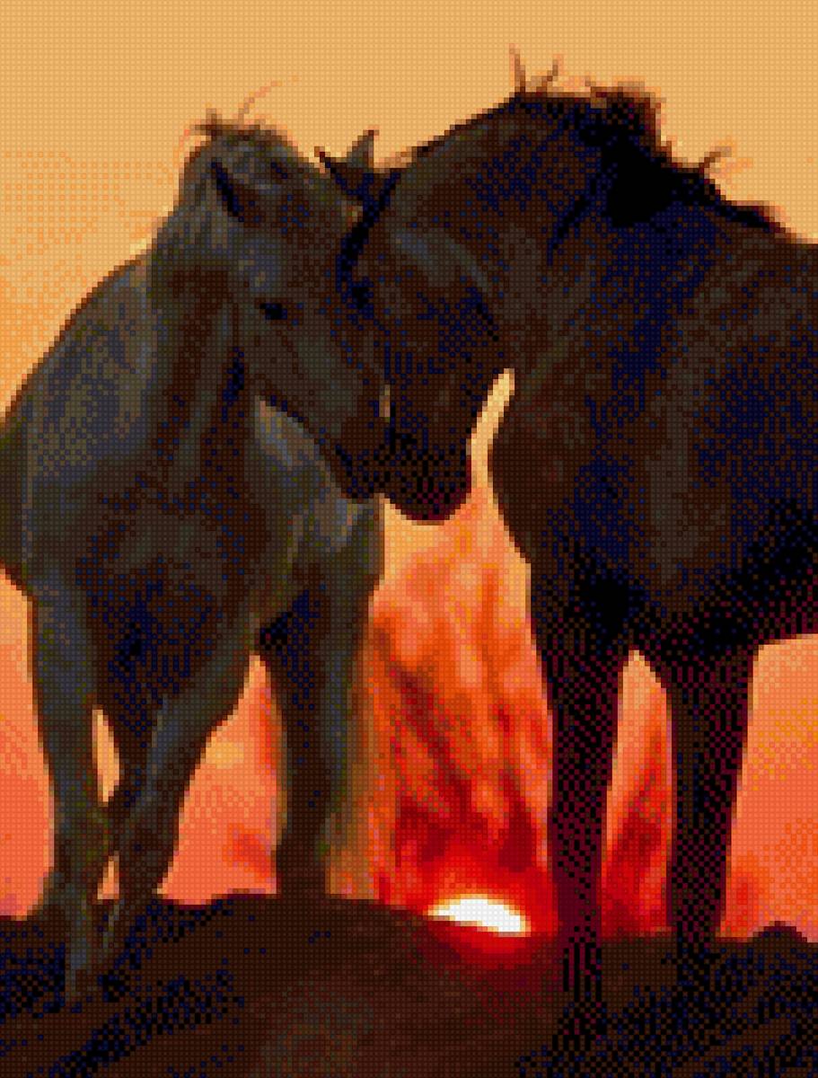 Нежность - миф, лошади - предпросмотр