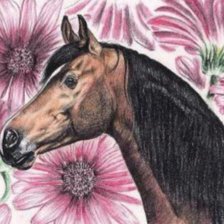 Схема вышивки «Конь»