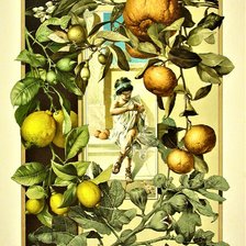 Схема вышивки «фрукты»