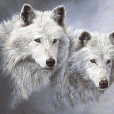 Схема вышивки «Lobos»