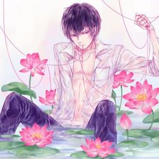 Схема вышивки «Хибари Кёя»