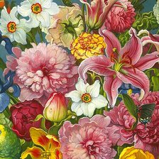 Схема вышивки «217»