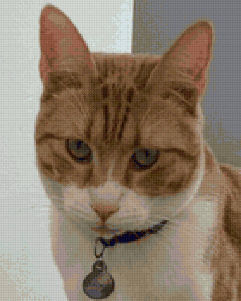 mate gatito - mate - предпросмотр