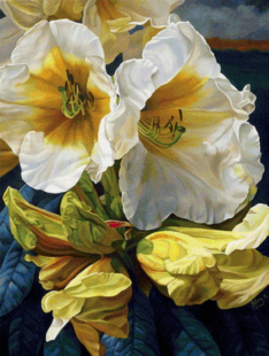 Лилейник джентл шепперд - картина, лилейник, цветы - предпросмотр