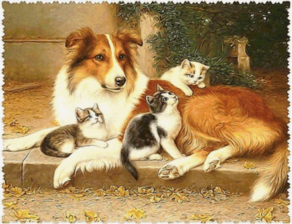 Колли с котятами - колли, собака, котята - предпросмотр