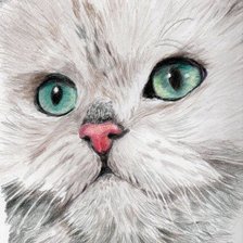 Схема вышивки «Белый кот картина»