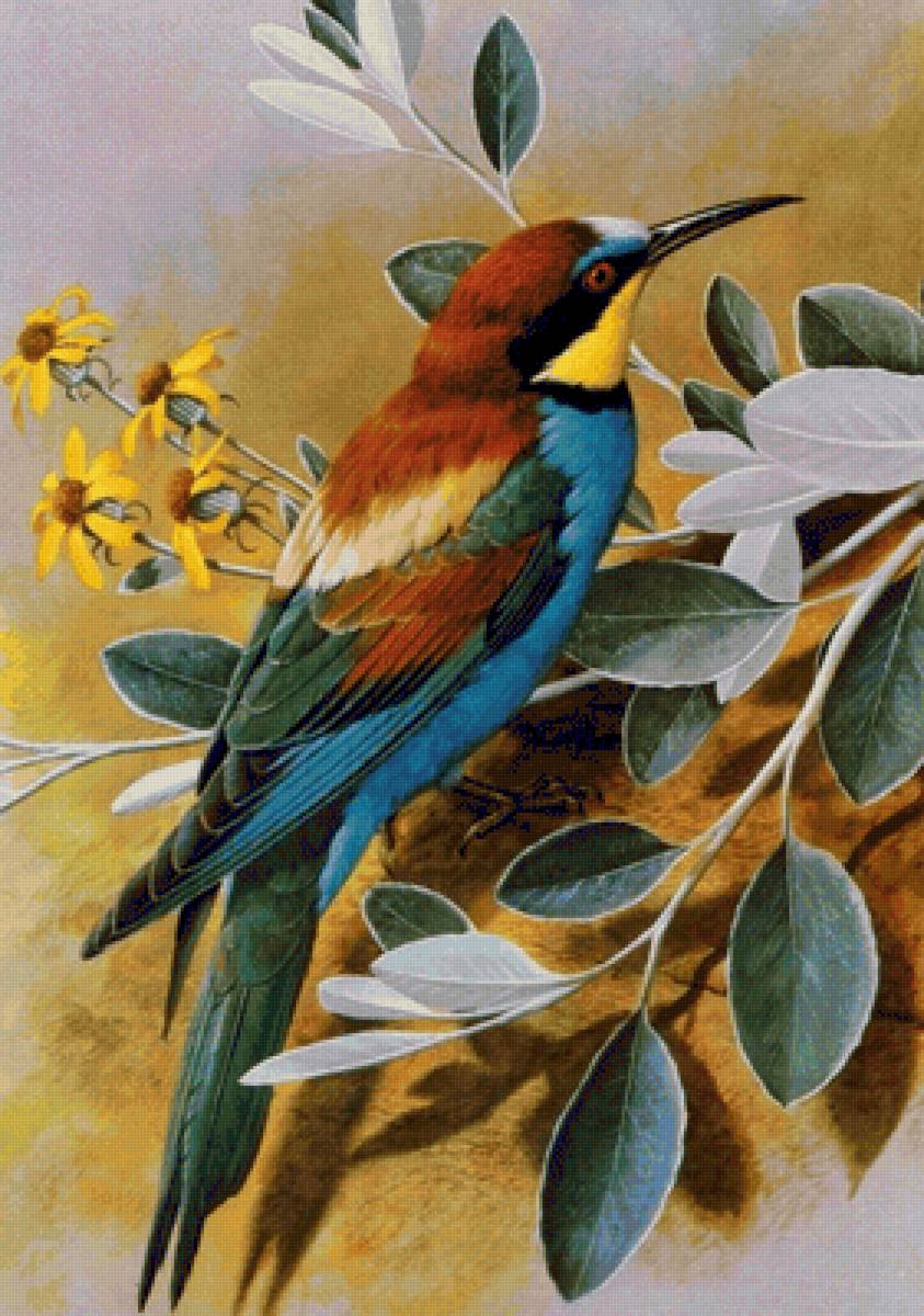 Птица - птица - предпросмотр