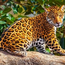 Схема вышивки «№2395164»