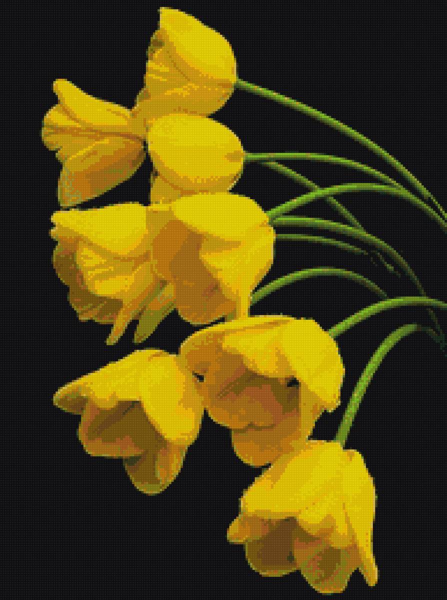 №2395351 - предпросмотр