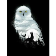 Схема вышивки «Букля 300»