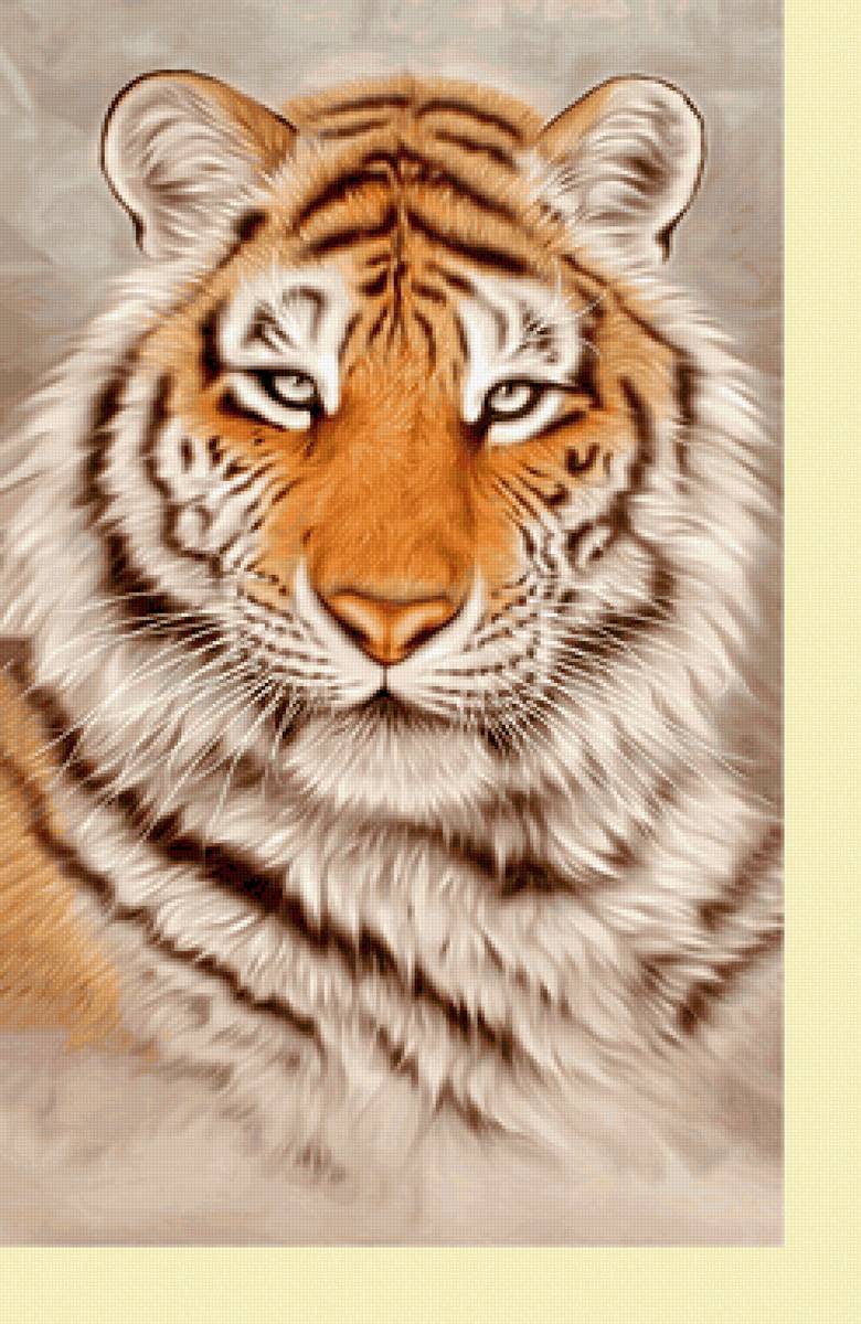 Серия "Хищники". Тигр - тигр, животные, хищники - предпросмотр