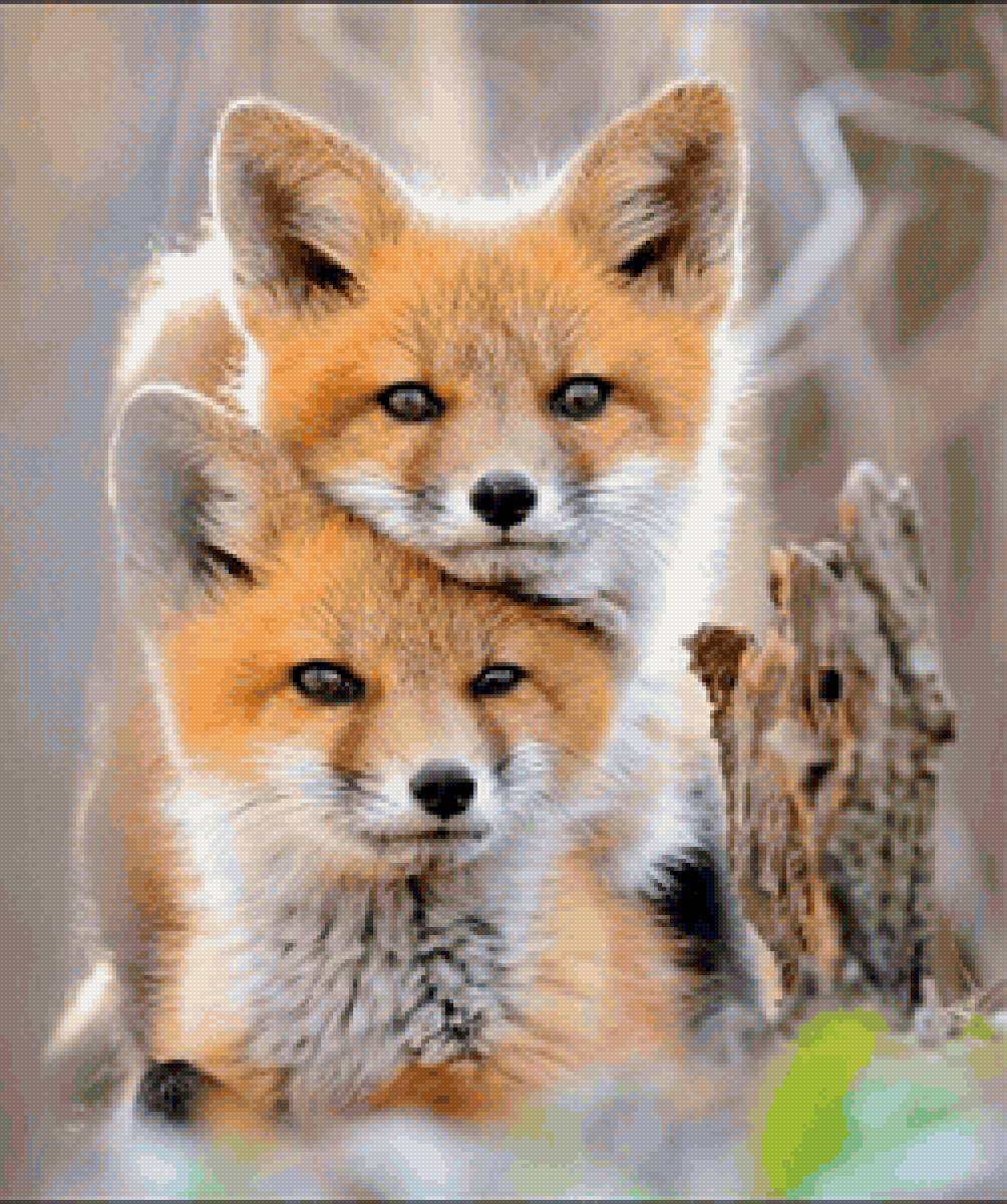 лисята - предпросмотр