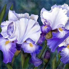 Схема вышивки «Ирис fabuleux»