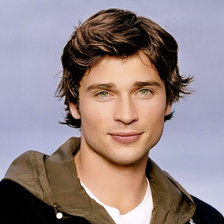 Схема вышивки «Том Вэллинг»