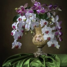 Схема вышивки «Орхидея»