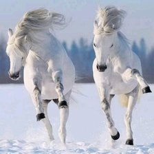 Схема вышивки «Лошади зимой»