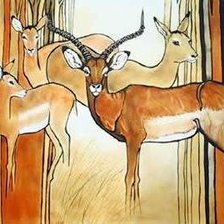 Схема вышивки «Антилопы в живописи»